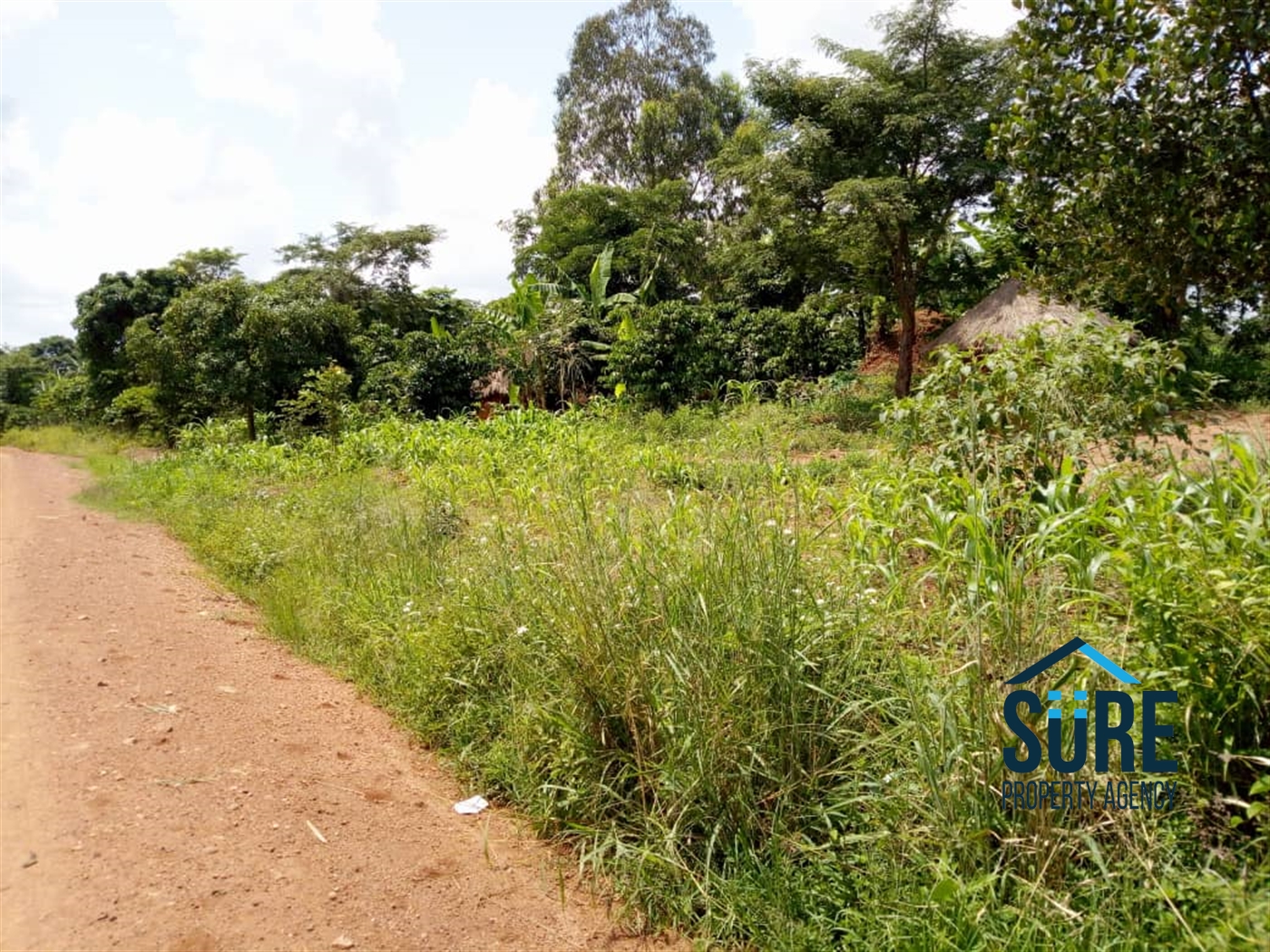 Agricultural Land for sale in Mboga Luweero