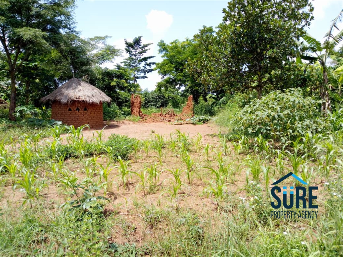 Agricultural Land for sale in Mboga Luwero