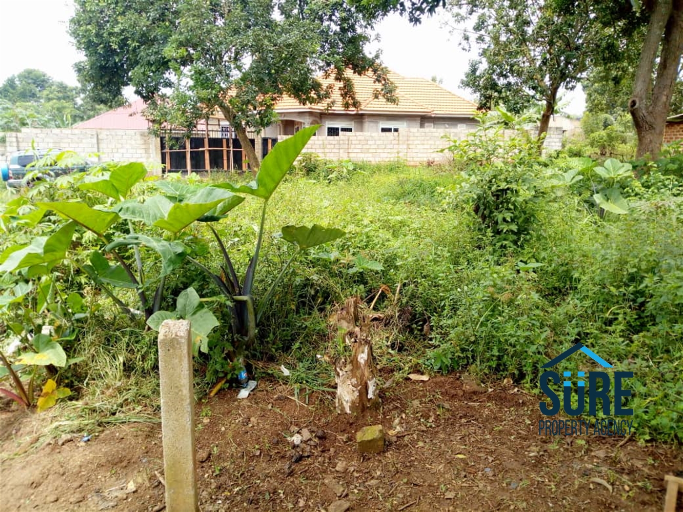 Residential Land for sale in Nsasa Wakiso