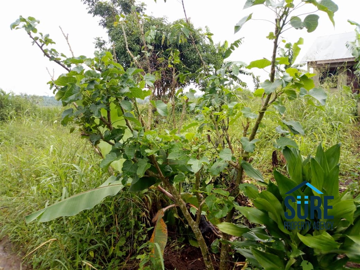 Residential Land for sale in Busiika Luweero