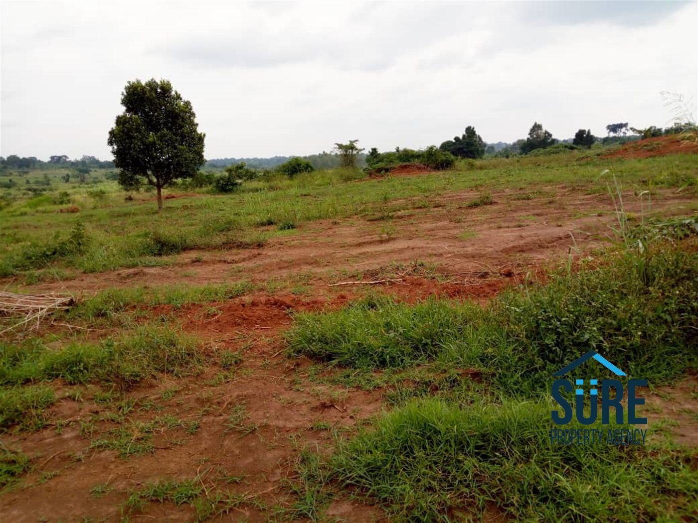 Residential Land for sale in Vvumba Luweero