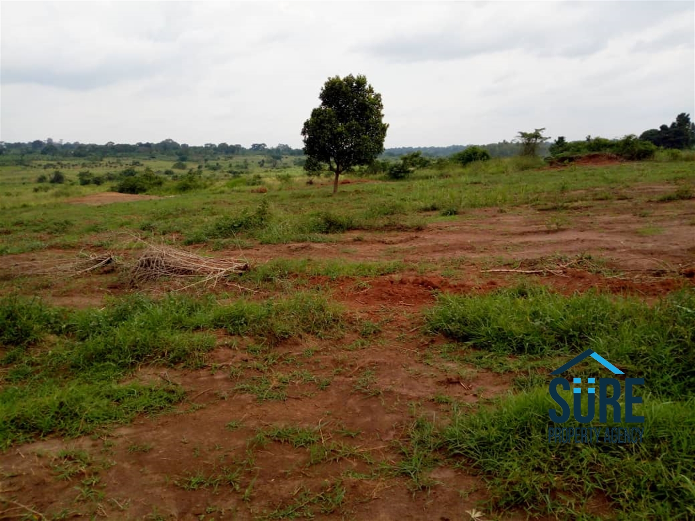 Residential Land for sale in Vvumba Luweero