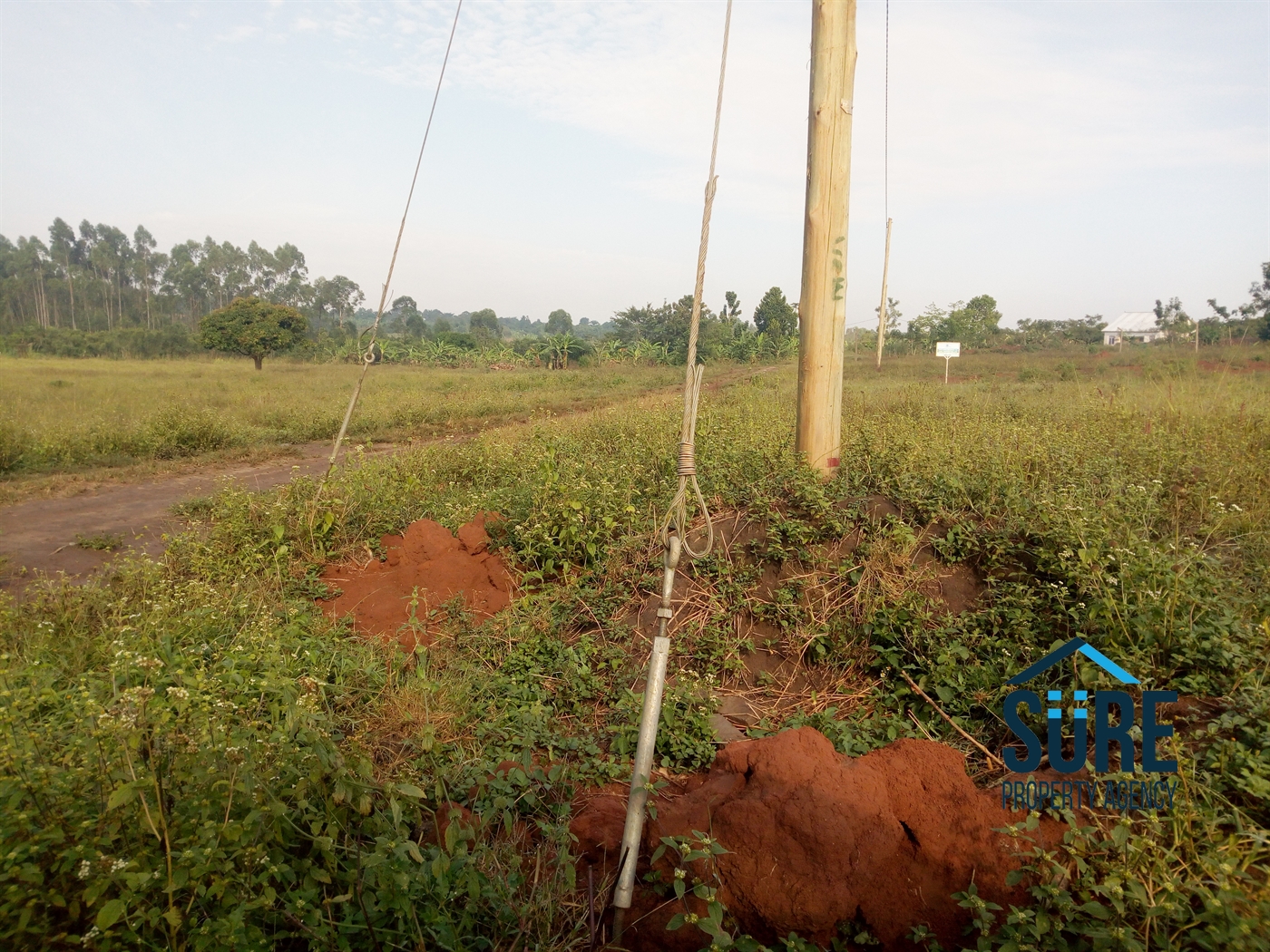 Residential Land for sale in Busiika Luweero