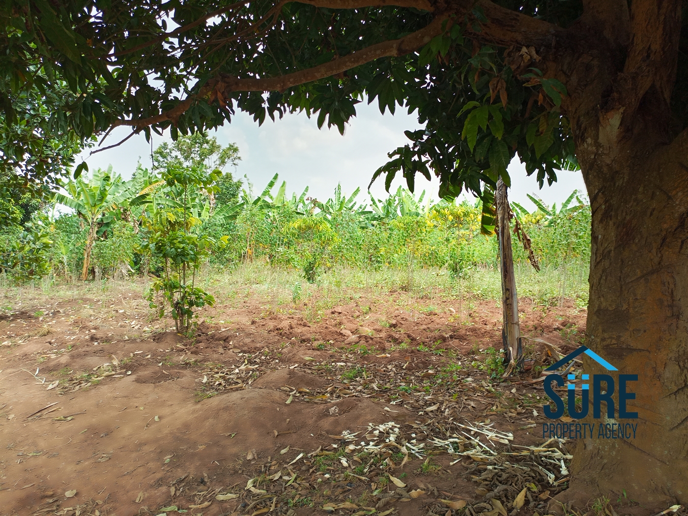 Residential Land for sale in Busiika Luweero