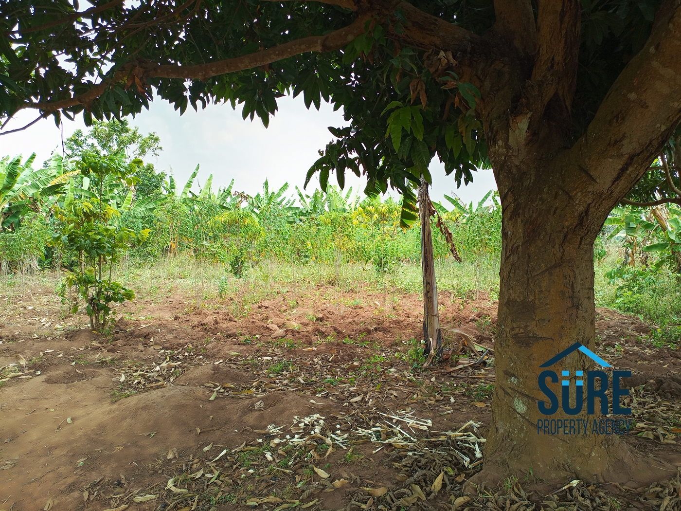 Residential Land for sale in Busiika Luweero