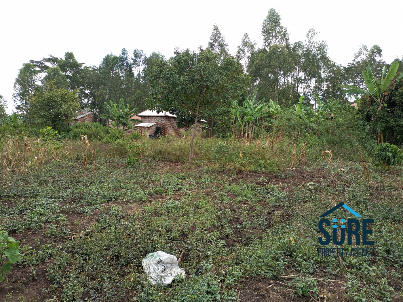 Residential Land for sale in Nakassajja Mukono