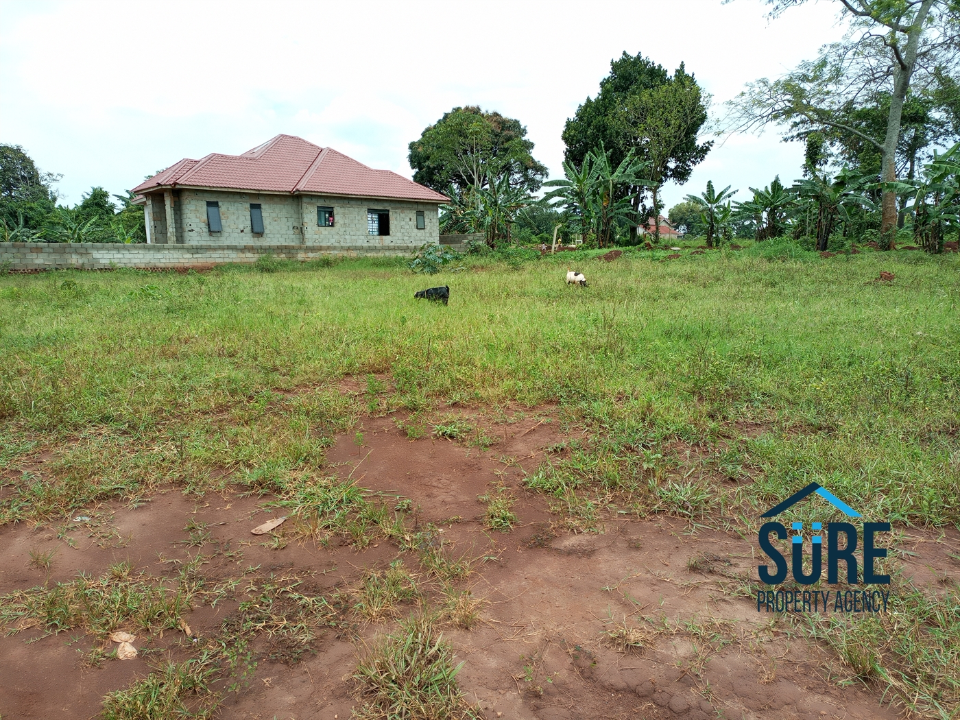 Residential Land for sale in Nakassajja Mukono