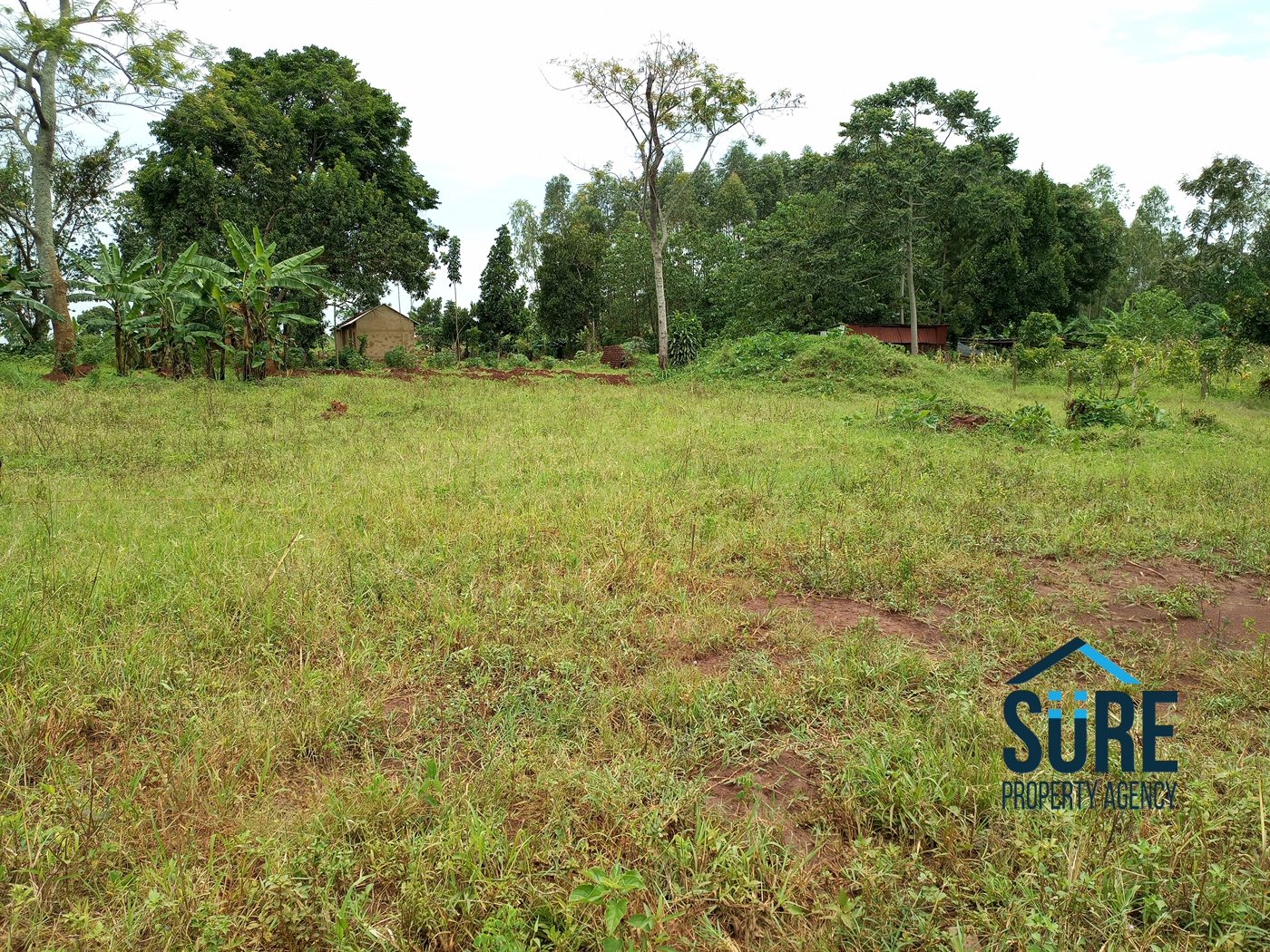 Residential Land for sale in Nakassajja Mukono