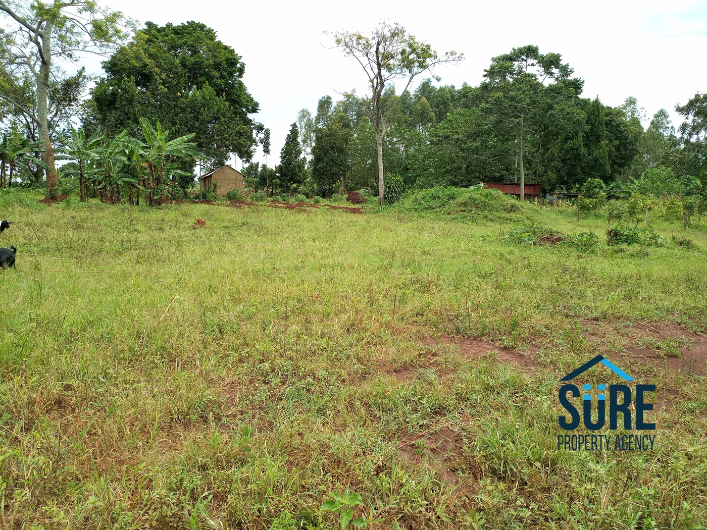 Residential Land for sale in Nakassajja Mukono