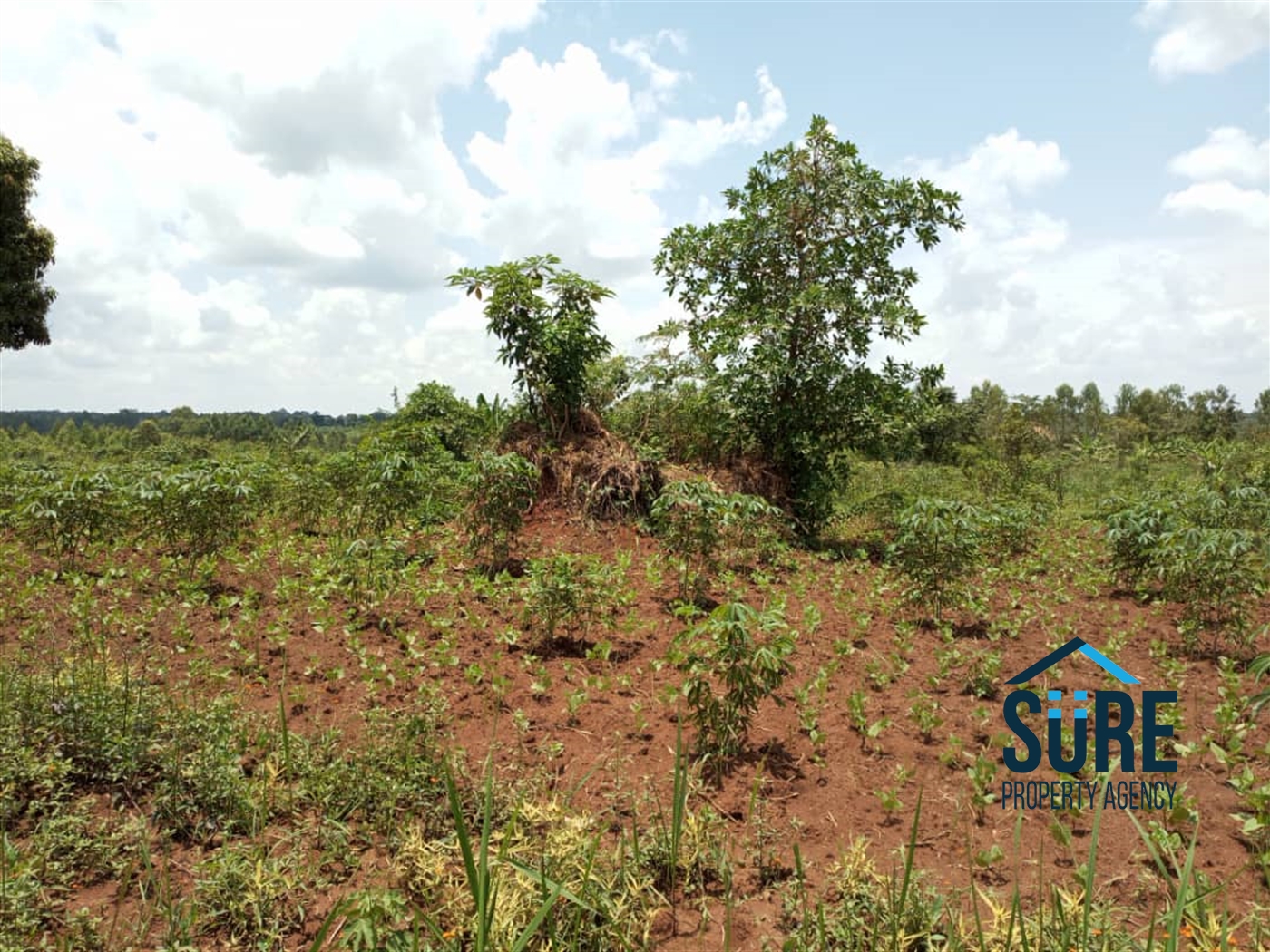 Residential Land for sale in Ziloobwe Luweero