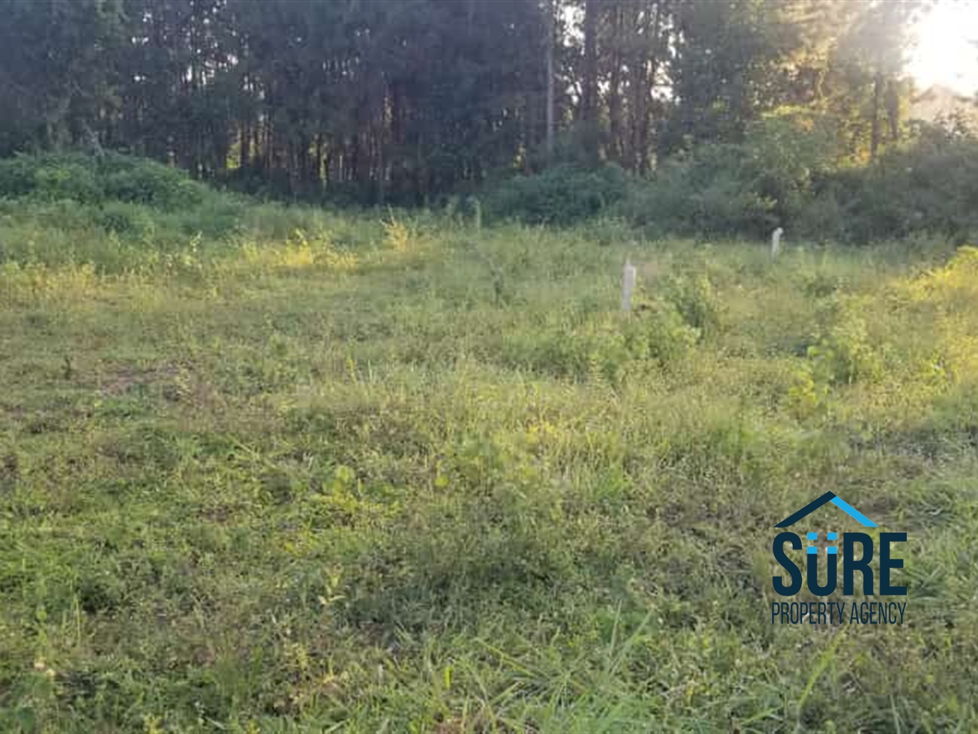 Residential Land for sale in Nakassajja Wakiso