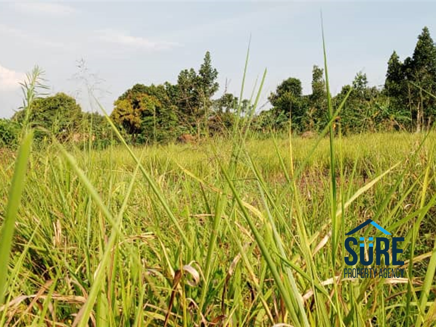 Residential Land for sale in Ziloobwe Luweero