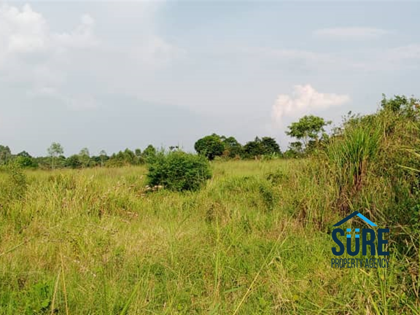 Residential Land for sale in Ziloobwe Luweero