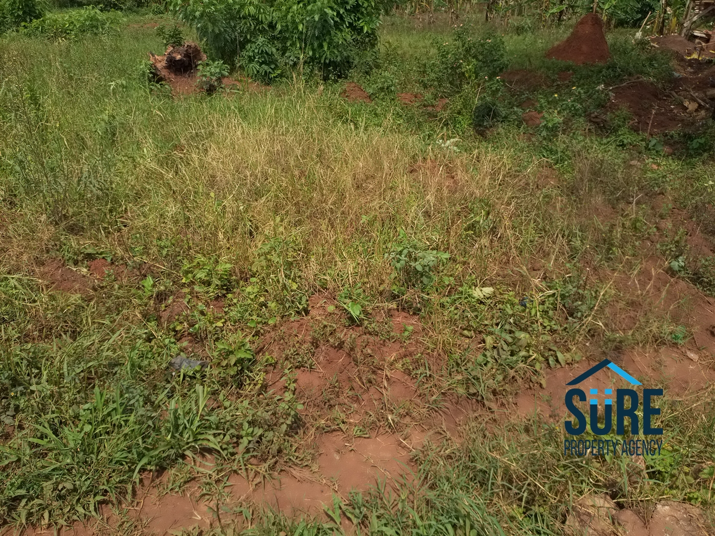 Residential Land for sale in Busiika Luweero