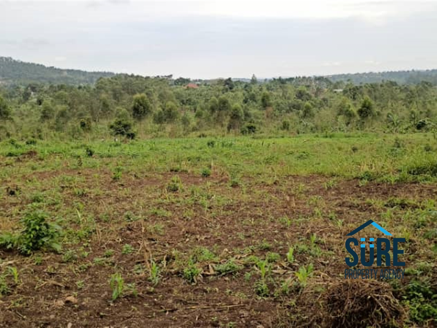 Residential Land for sale in Bukeelele Mukono