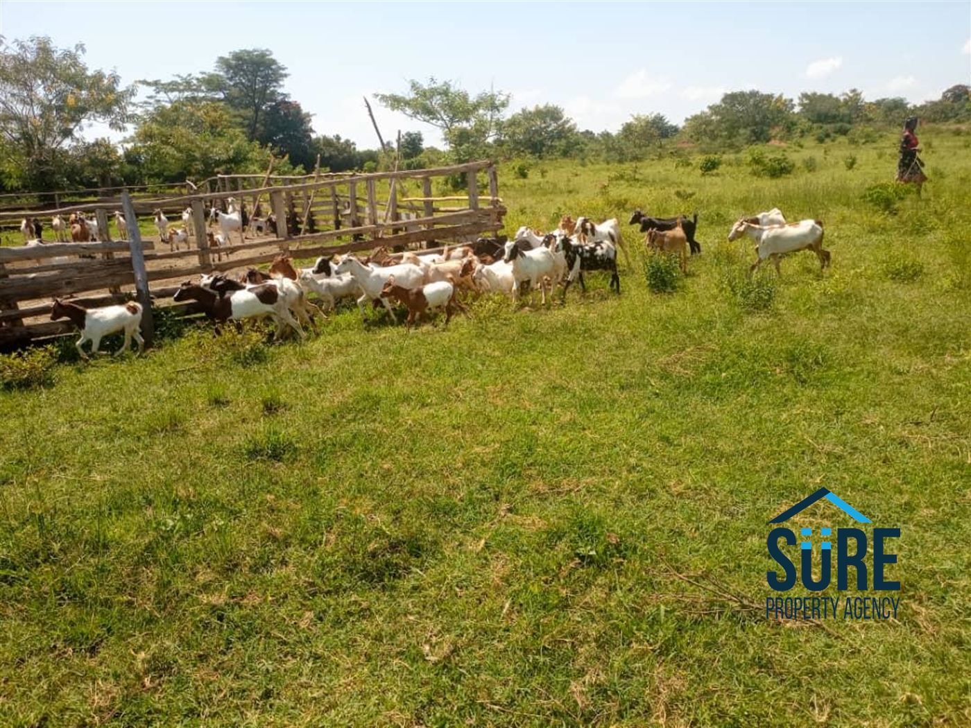 Residential Land for sale in Kamila Luweero