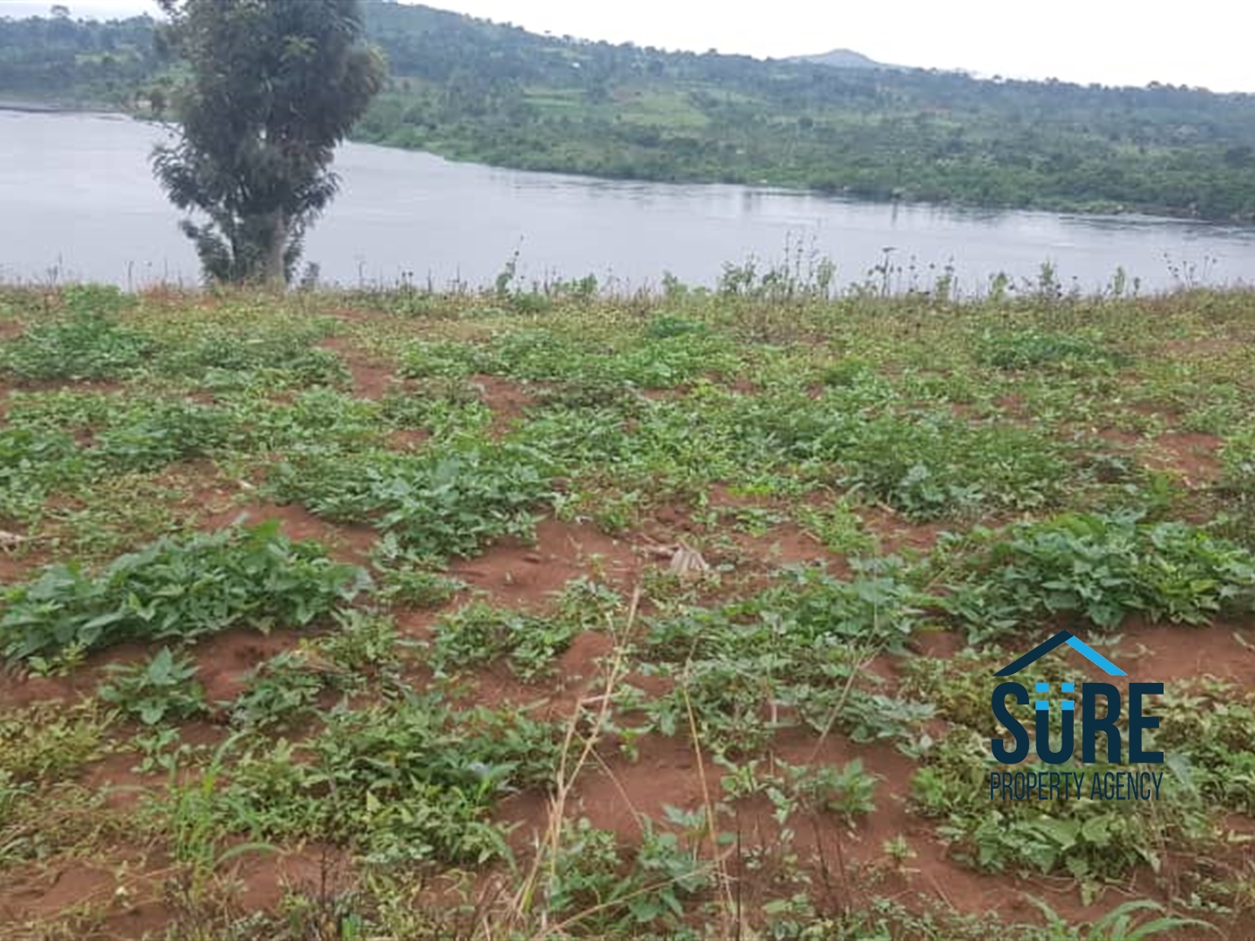 Residential Land for sale in Kayunga Jinja