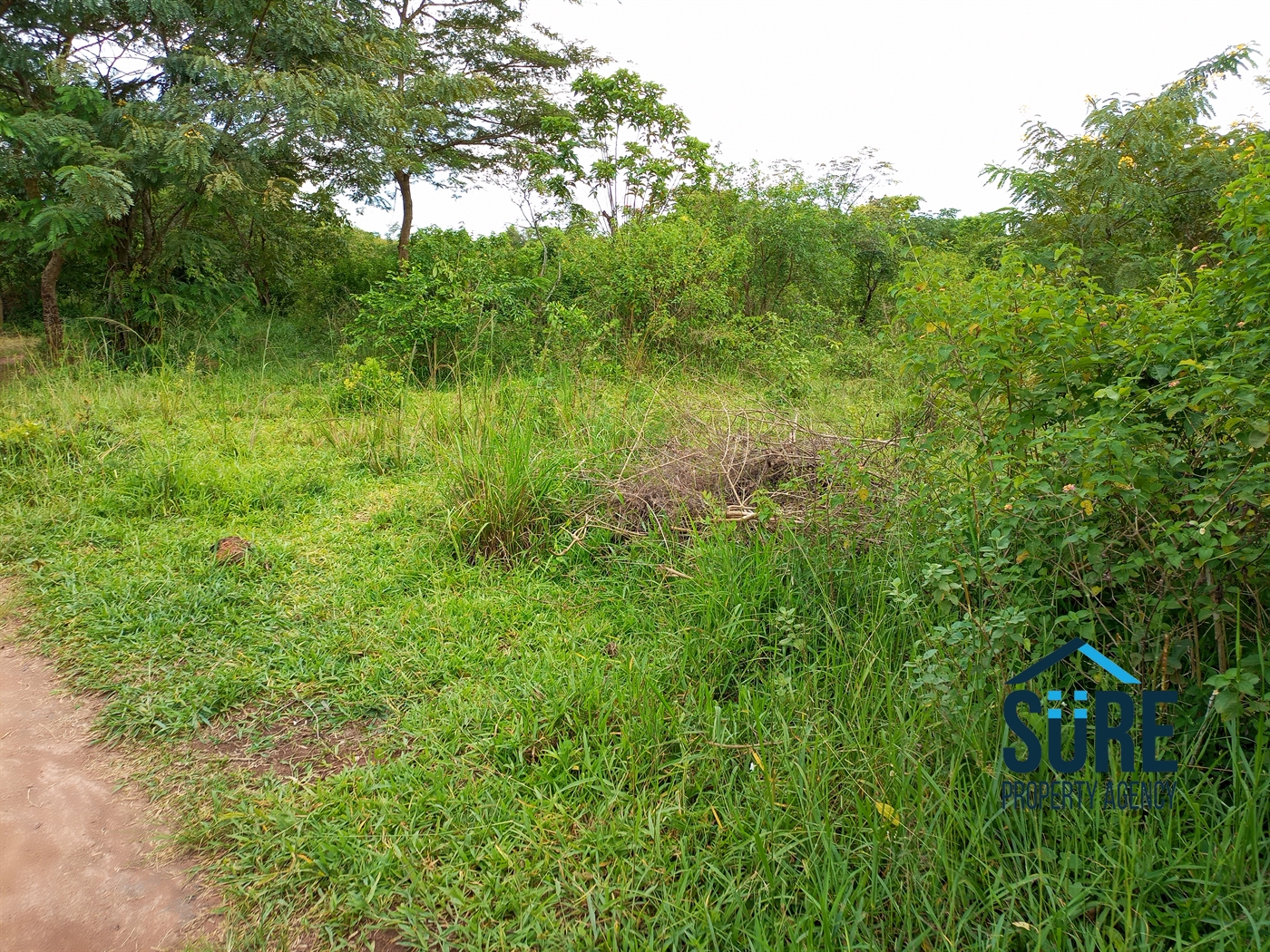 Residential Land for sale in Tokekulu Luweero