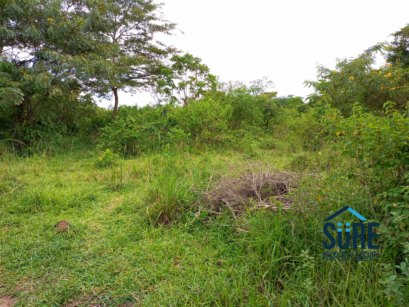 Residential Land for sale in Tokekulu Luweero