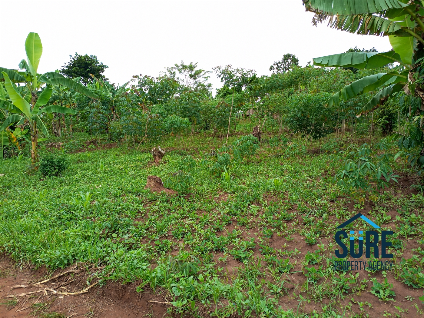 Residential Land for sale in Bulami Luweero