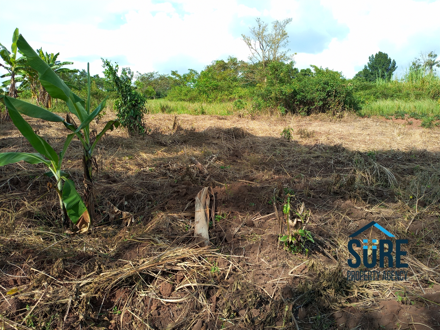 Residential Land for sale in Bulami Luweero