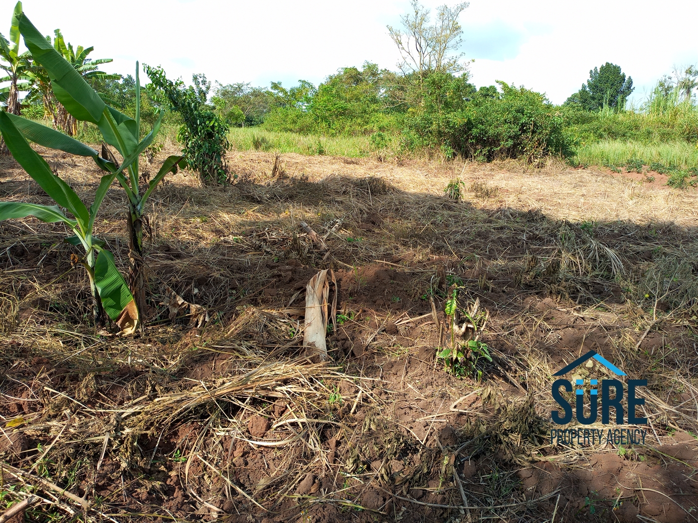 Residential Land for sale in Bulami Luweero