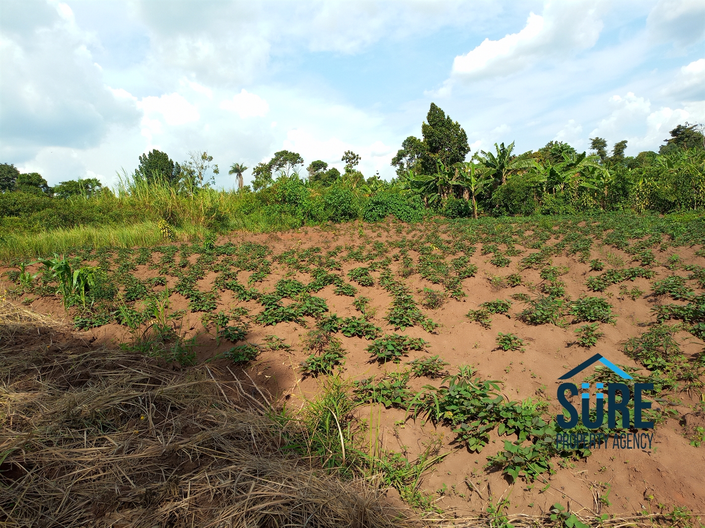 Residential Land for sale in Busiika Luweero