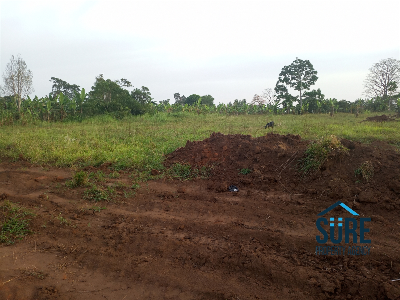 Residential Land for sale in Bulami Luweero