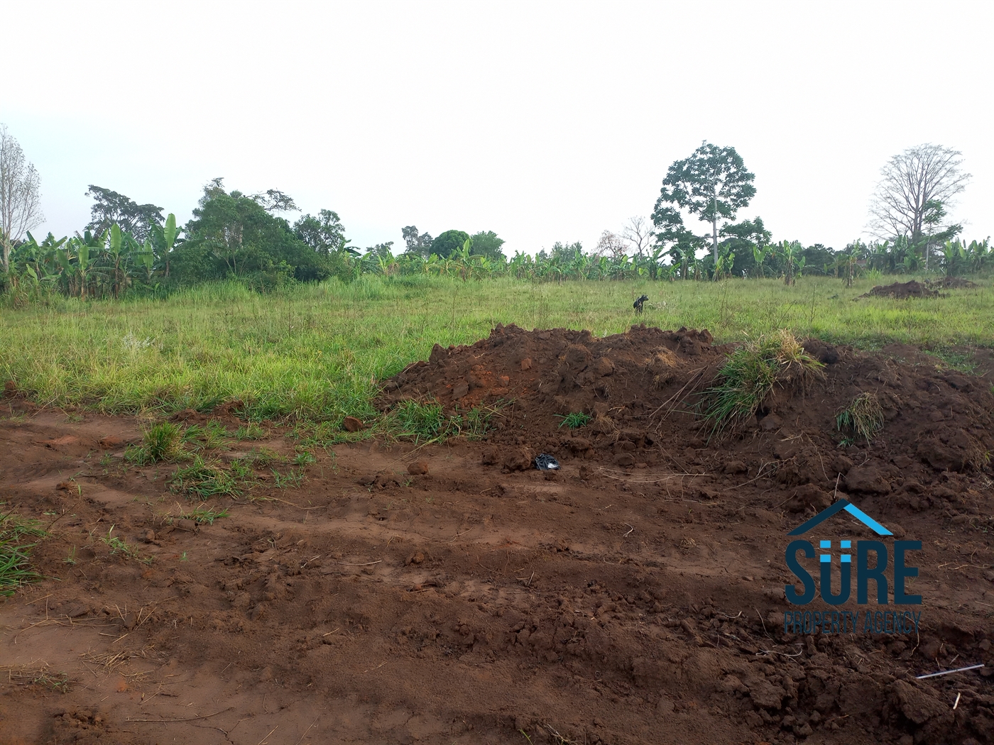 Residential Land for sale in Bulami Luweero