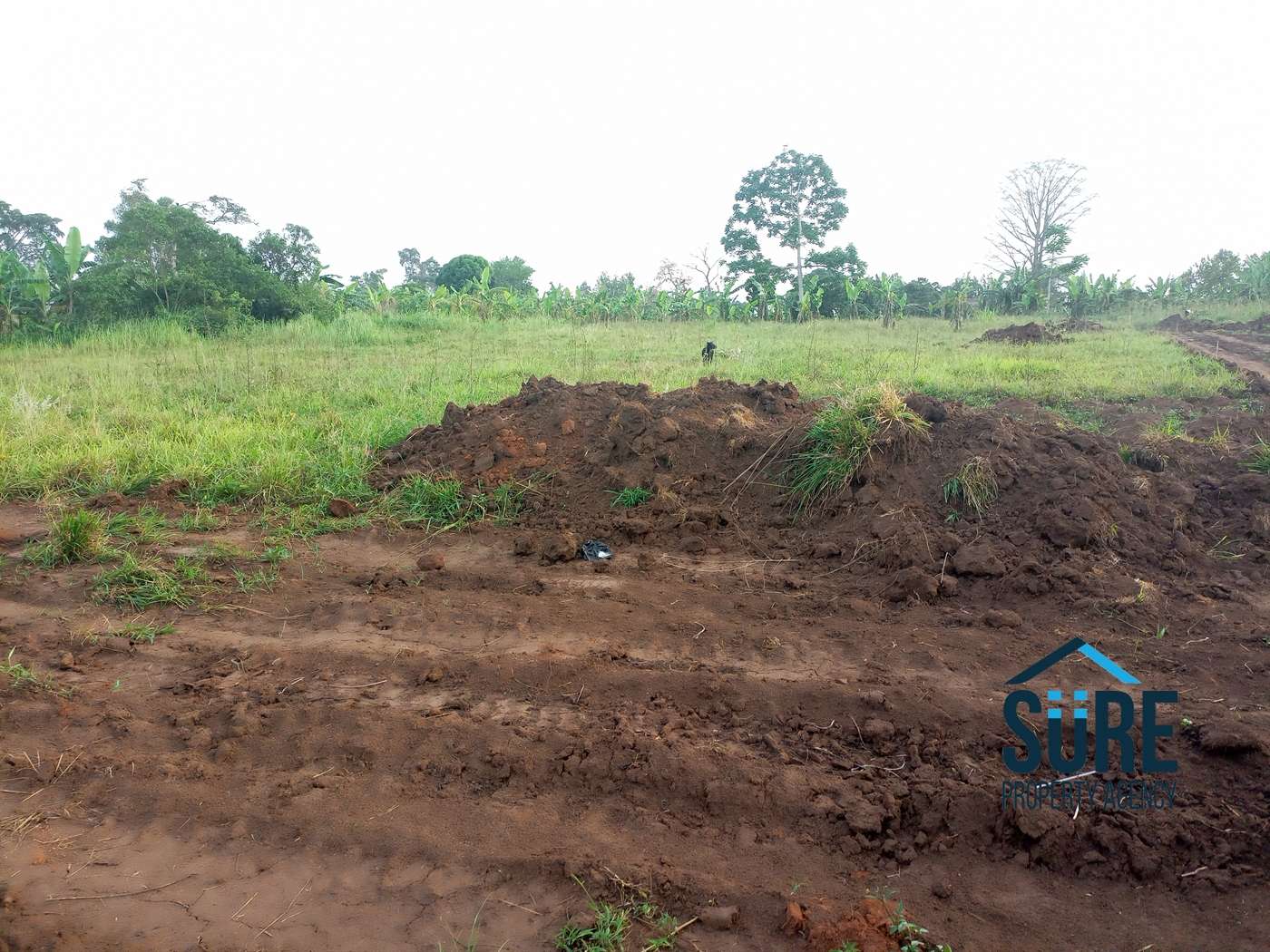 Residential Land for sale in Bulami Luweero