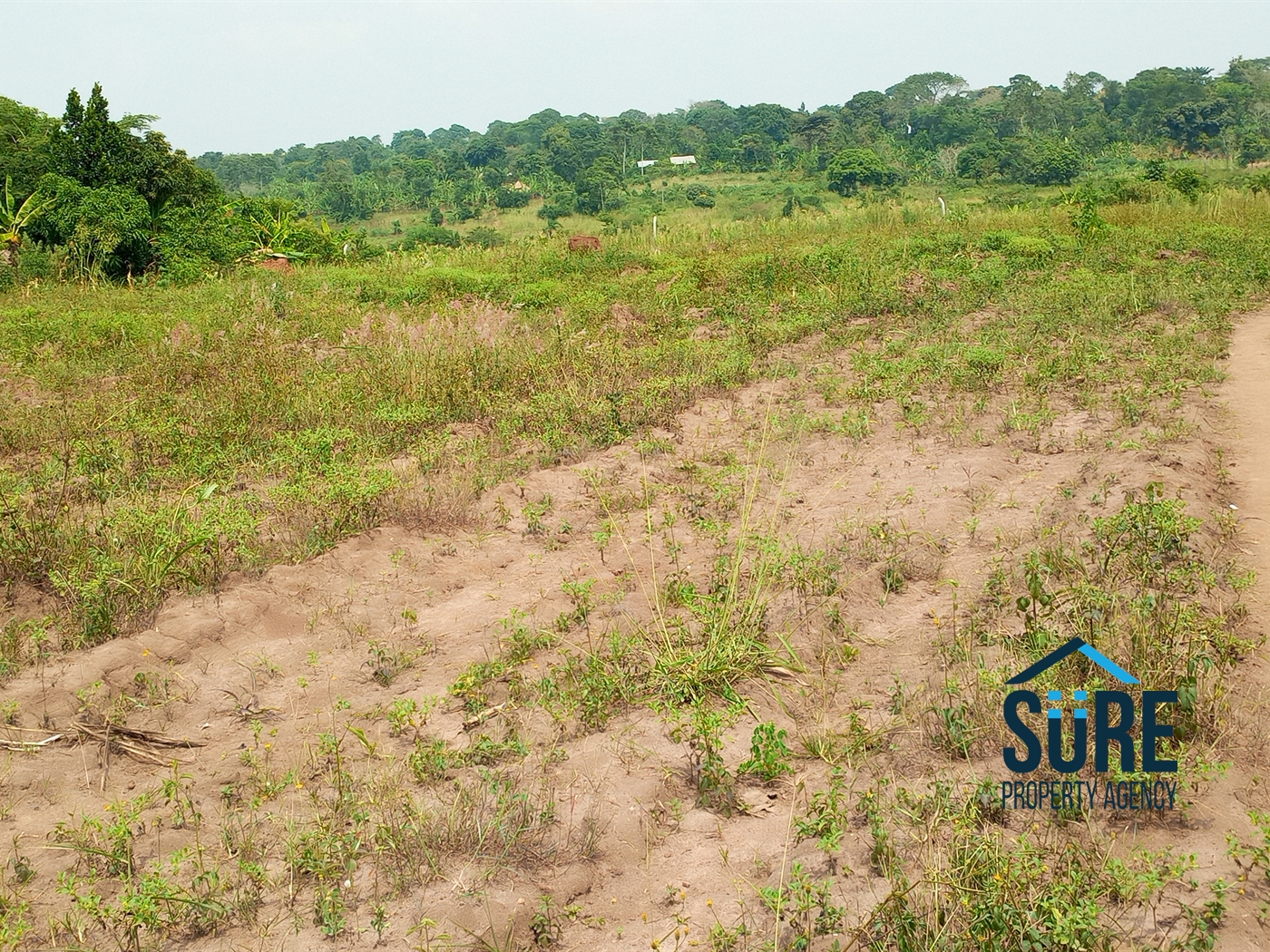 Residential Land for sale in Vvumba Luweero