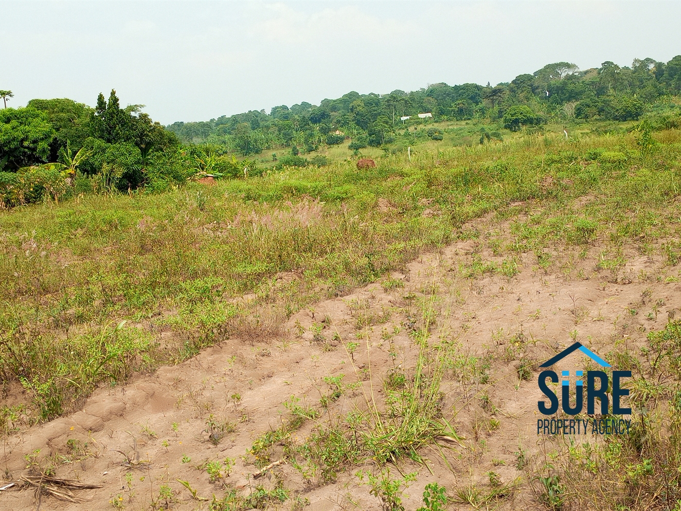 Residential Land for sale in Vvumba Luweero