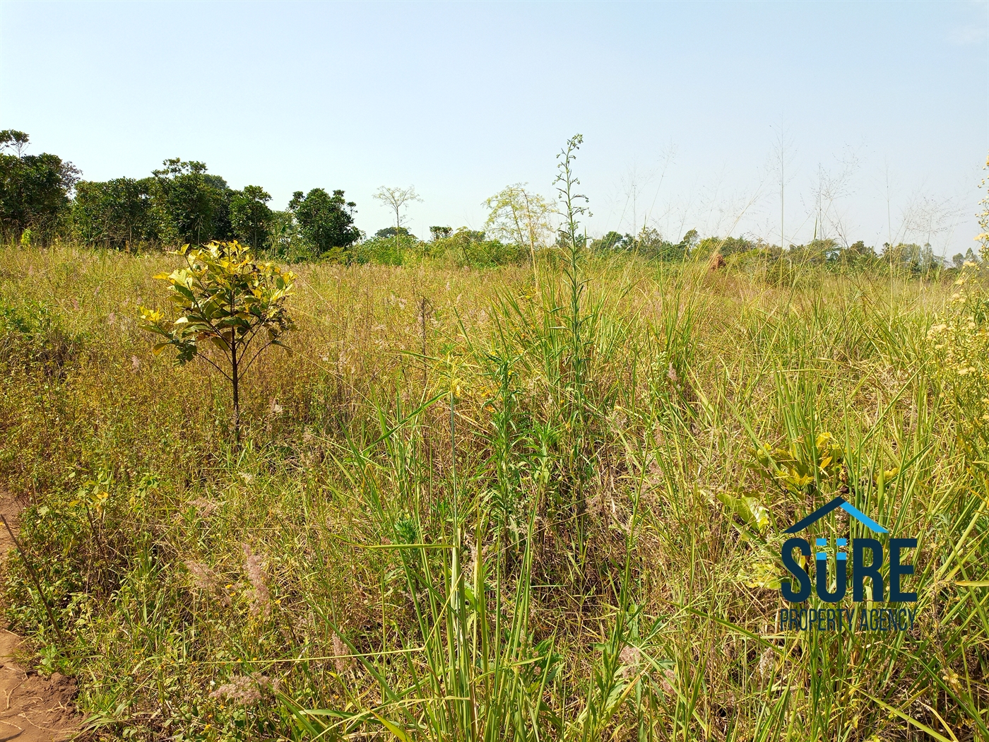 Residential Land for sale in Bulami Luweero