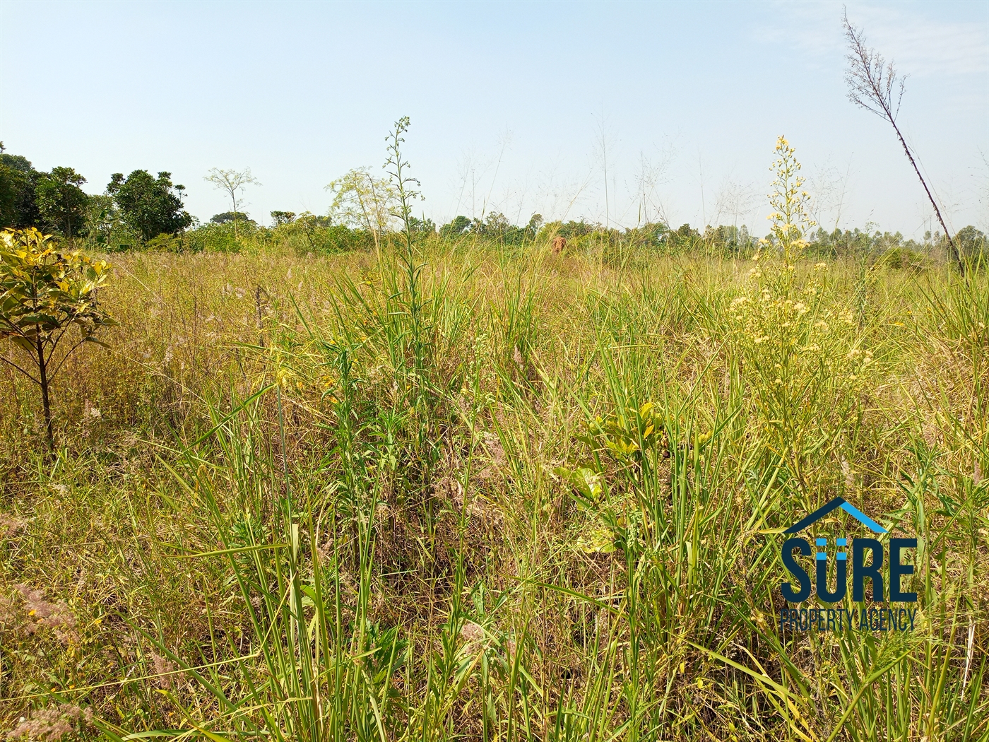 Residential Land for sale in Bulami Luweero