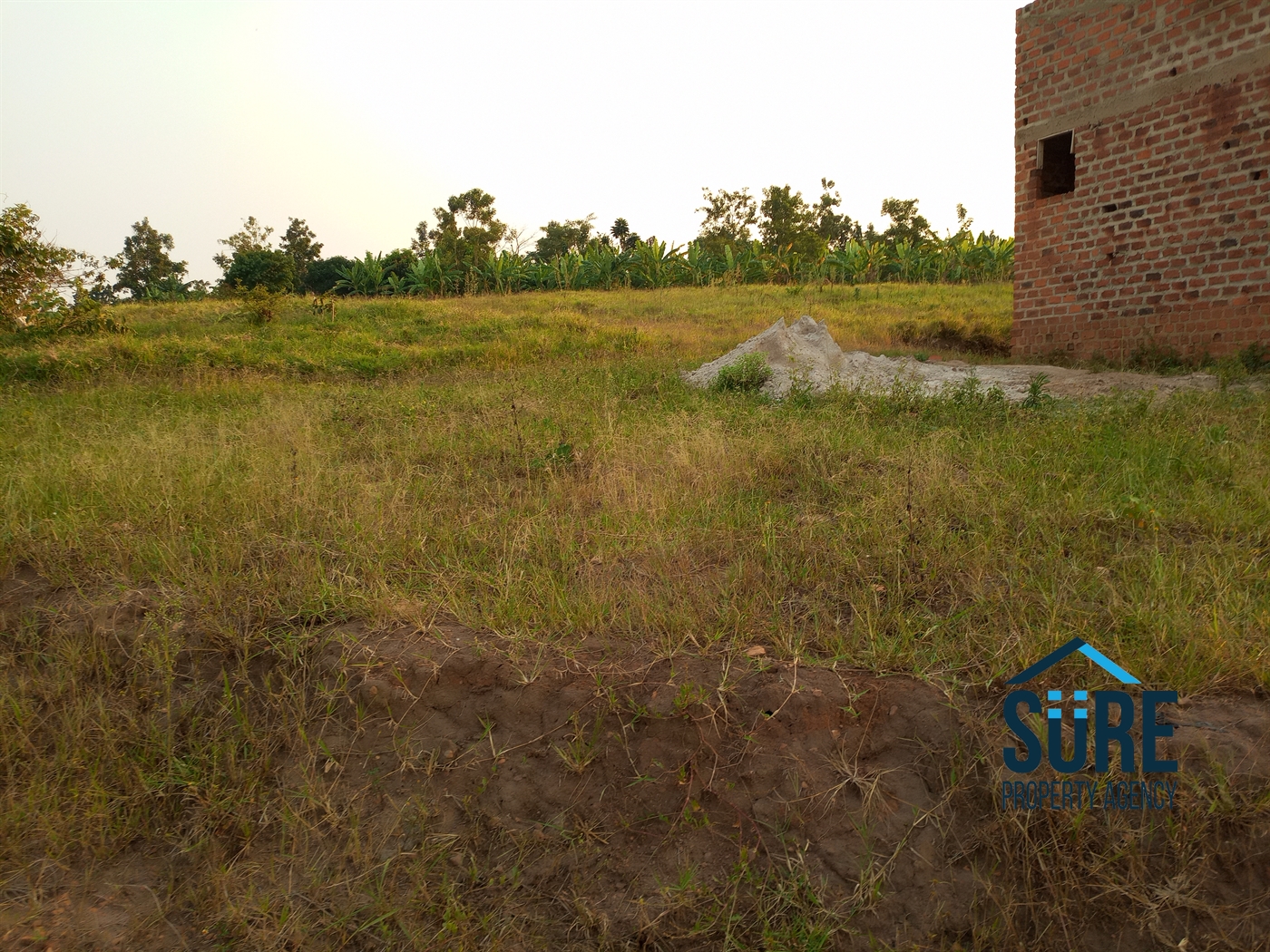 Residential Land for sale in Kiwenda Wakiso