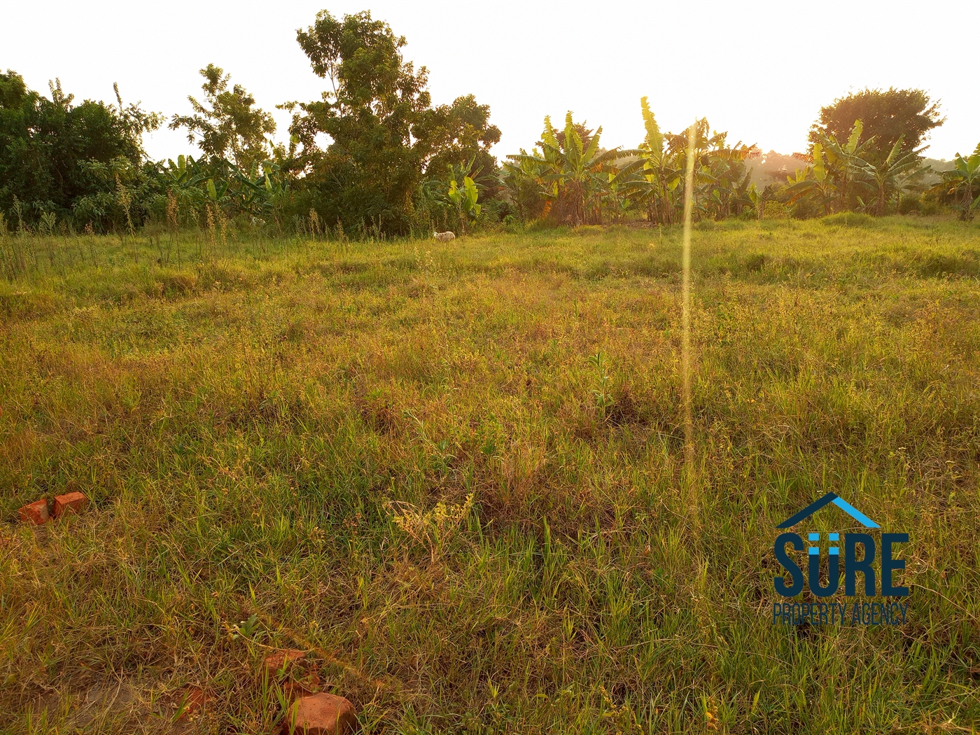 Residential Land for sale in Kiwenda Wakiso