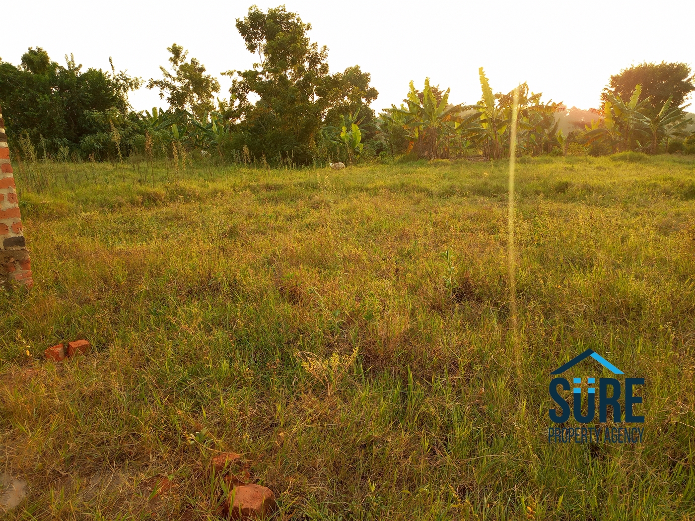 Residential Land for sale in Kiwenda Wakiso