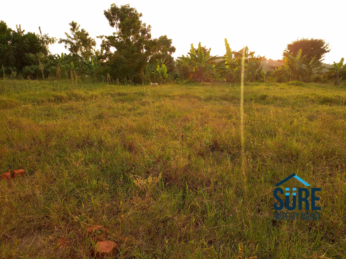 Residential Land for sale in Kiwenda Wakiso