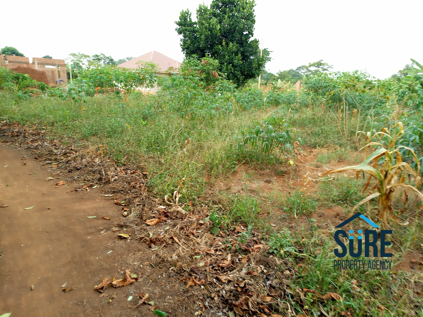 Residential Land for sale in Bulami Luweero