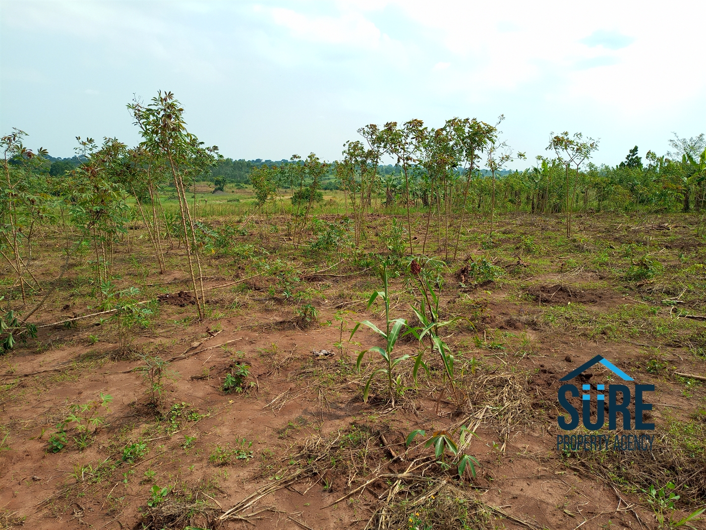 Residential Land for sale in Bulami Luweero