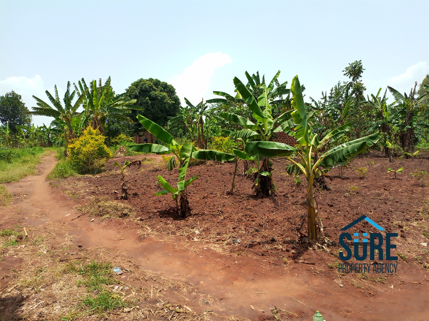 Residential Land for sale in Busiika Luweero