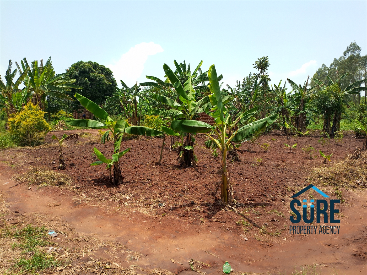 Residential Land for sale in Busiika Luweero