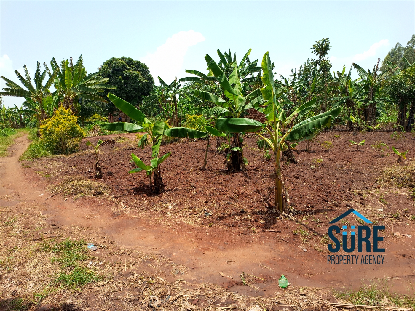 Residential Land for sale in Busiika Luweero