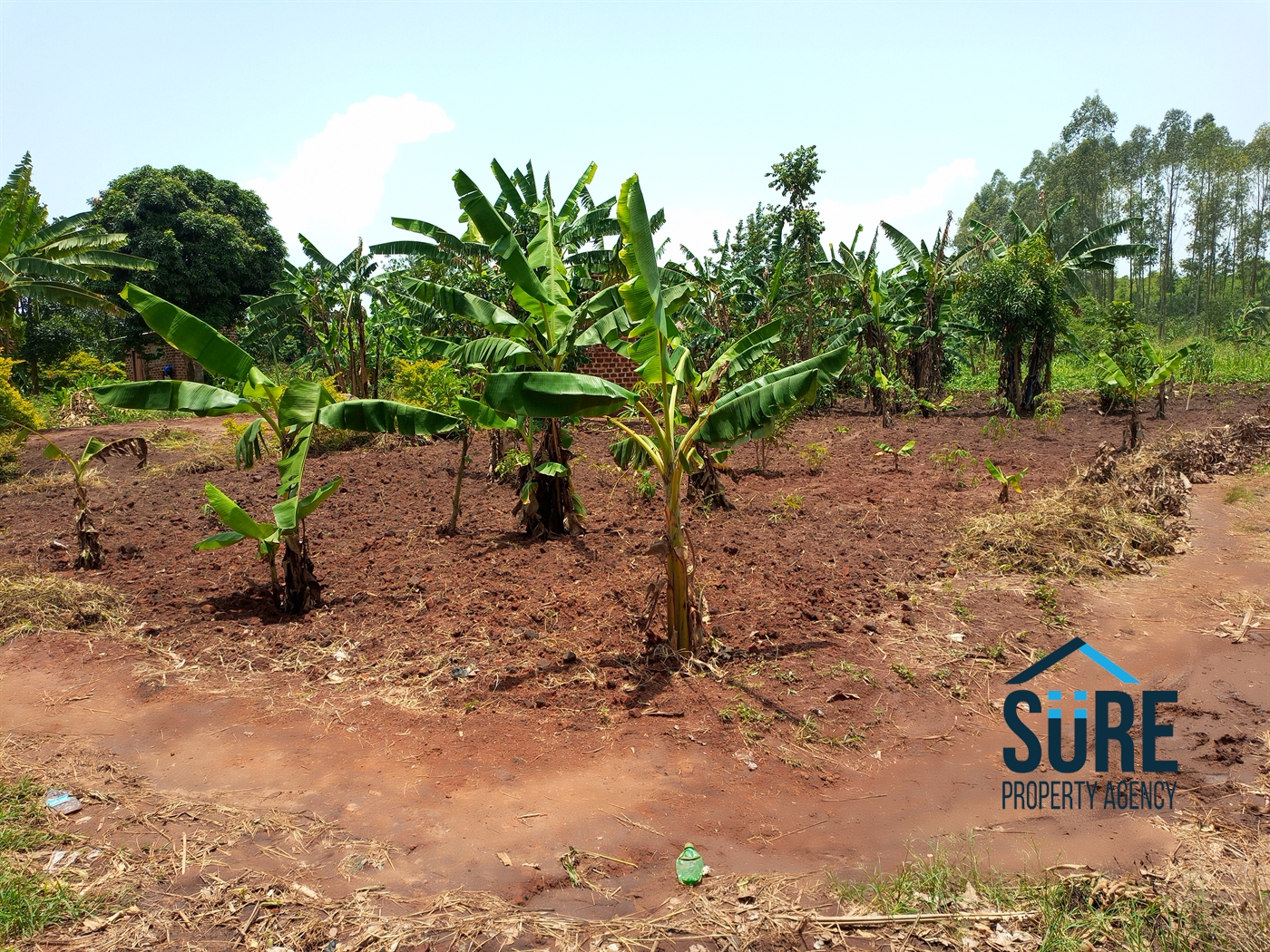 Residential Land for sale in Busiika Luweero