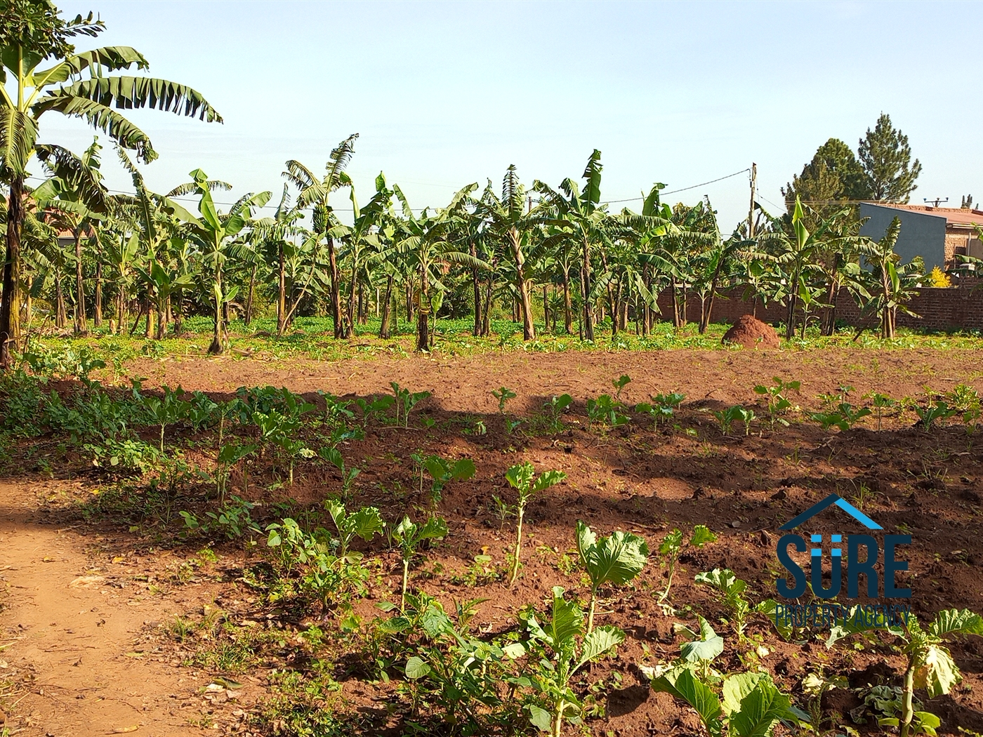 Residential Land for sale in Nakassajja Mukono