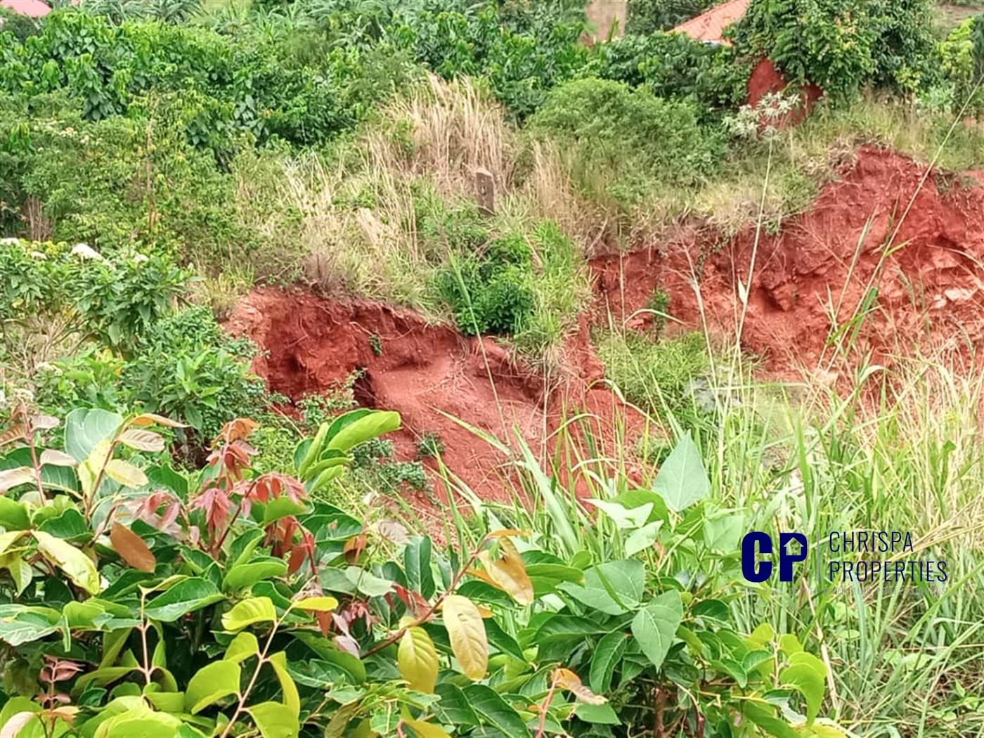 Residential Land for sale in Bwebajja Wakiso