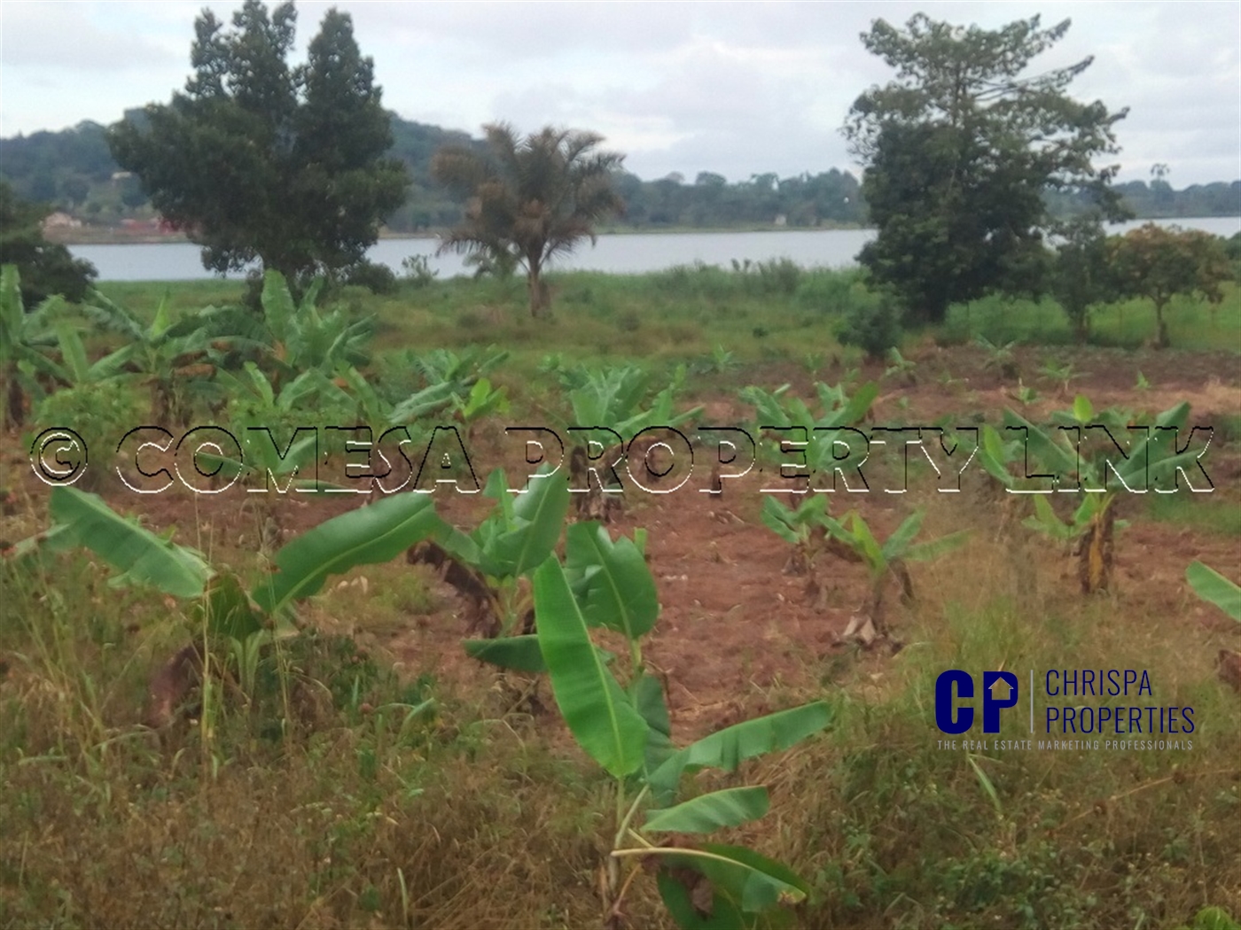 Commercial Land for sale in Garuga Wakiso