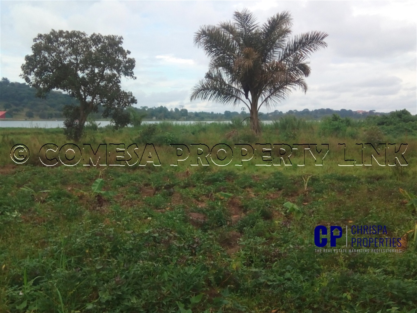 Commercial Land for sale in Garuga Wakiso