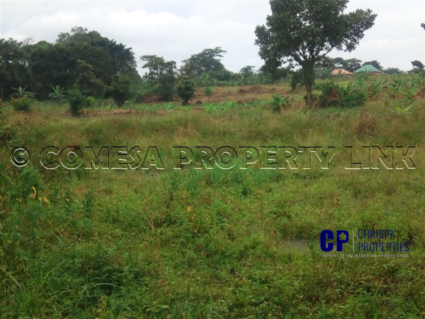 Commercial Land for sale in Garuga Wakiso