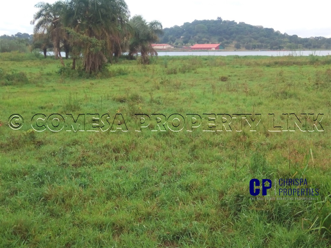 Commercial Land for sale in Garuga Wakiso